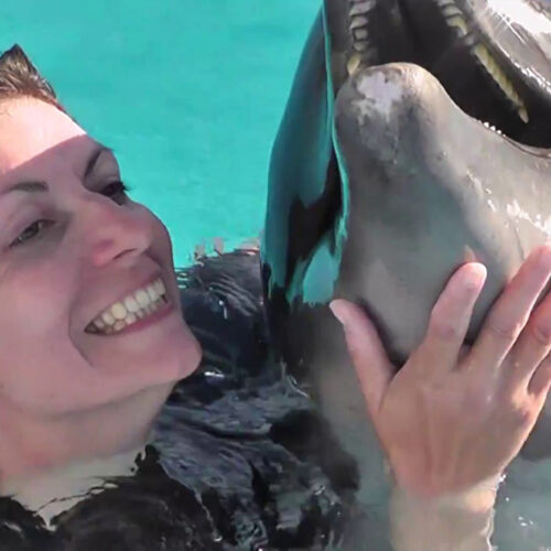 Schwimmen mit Delphine in Hurghada
