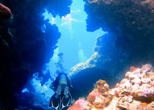 Schnorchelausflug von Marsa Alam nach Marsa Mubarak