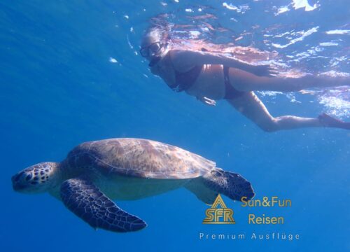 Schildkröten & Dugoung Schnorchel Ausflug Marsa Alam