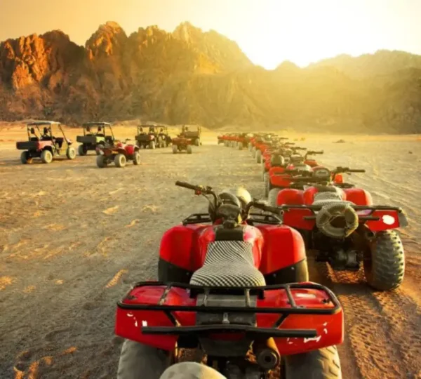 Wüstentour ab Marsa Alam | 3-stündige Quad Tour + Kamelritt