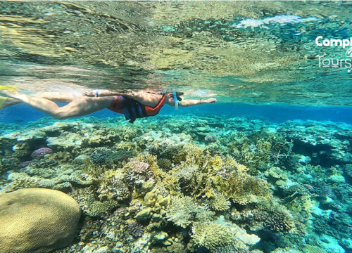 Ausflug Insel Hamata von Marsa Alam