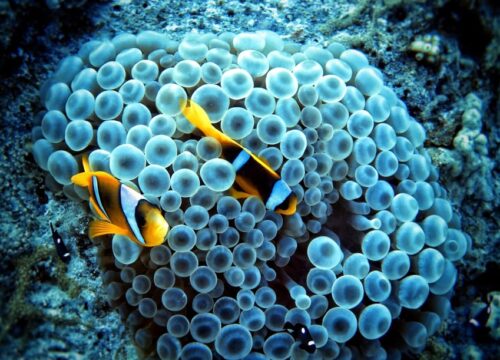 Wie das Klima Ägyptens das Reisen beeinflusst: Die besten Monate für einen Besuch