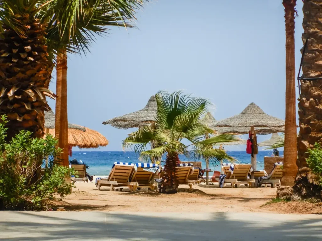 Die-TOP-5-Tauchplaetze-in-Marsa-Alam