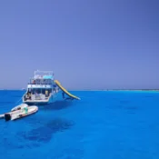 Die 10 besten Tauchplätze in Marsa Alam