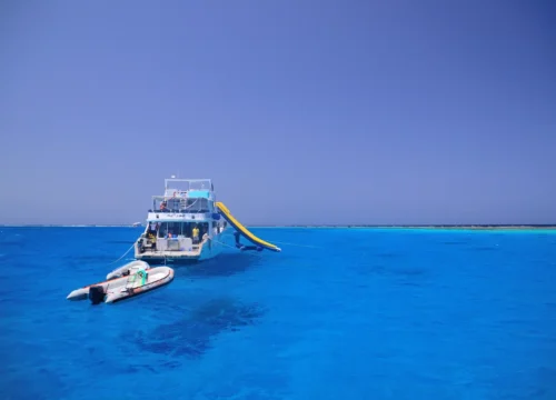 Die 10 besten Tauchplätze in Marsa Alam